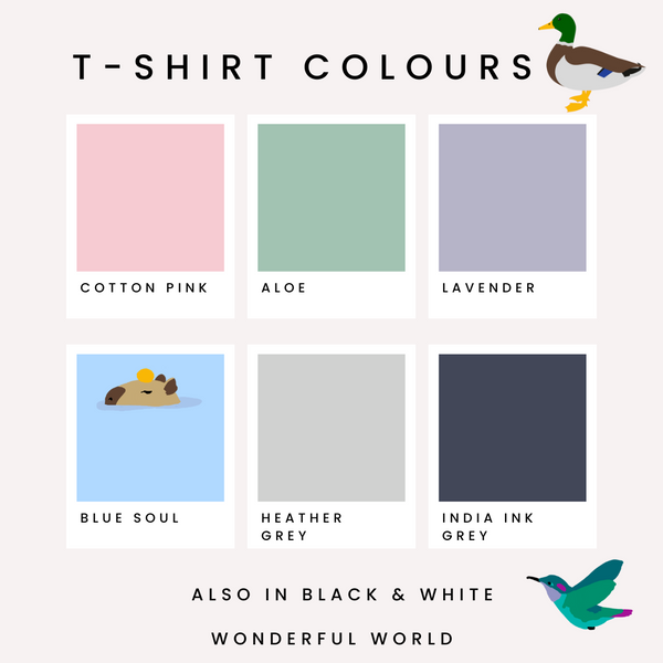 Colour Tshirt