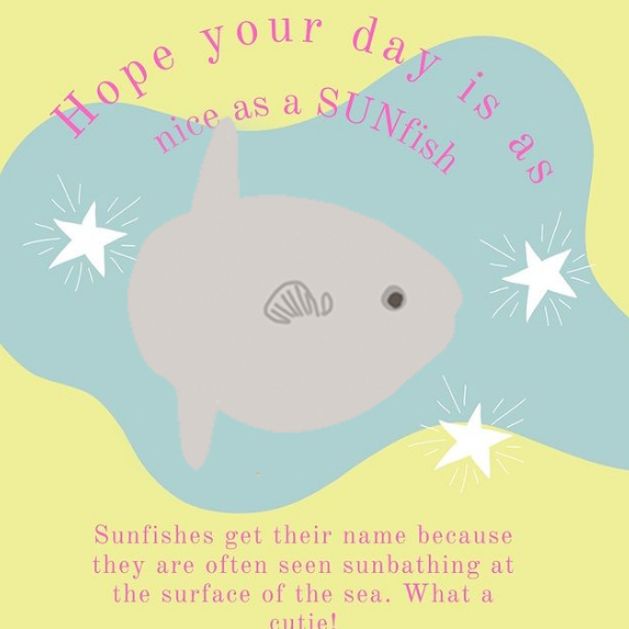 Ocean Sunfish Embroidered Jumper