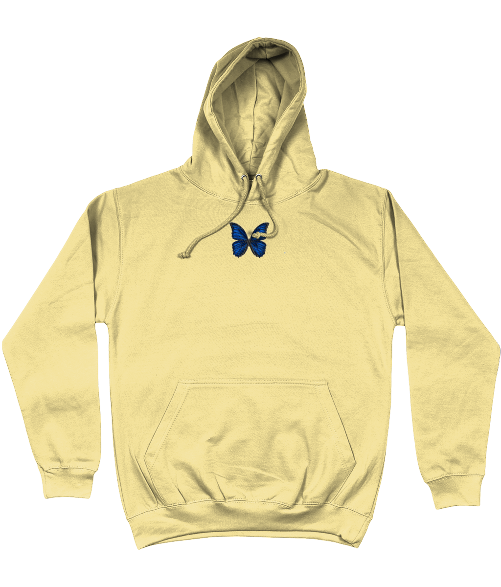 Blue butterfly embroidered hoodie Wonderful World