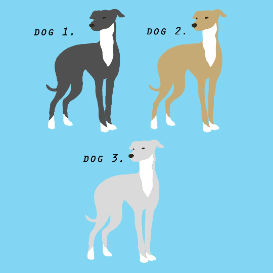 Whippet Embroidered Beanie Hat