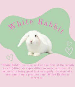 White Rabbit 🐇🐇🐇