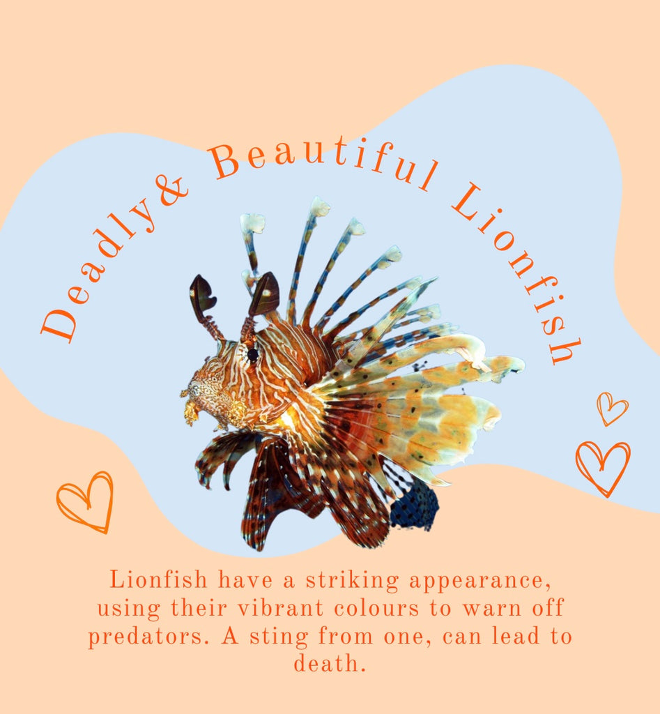 The Lionfish 🦁🐟