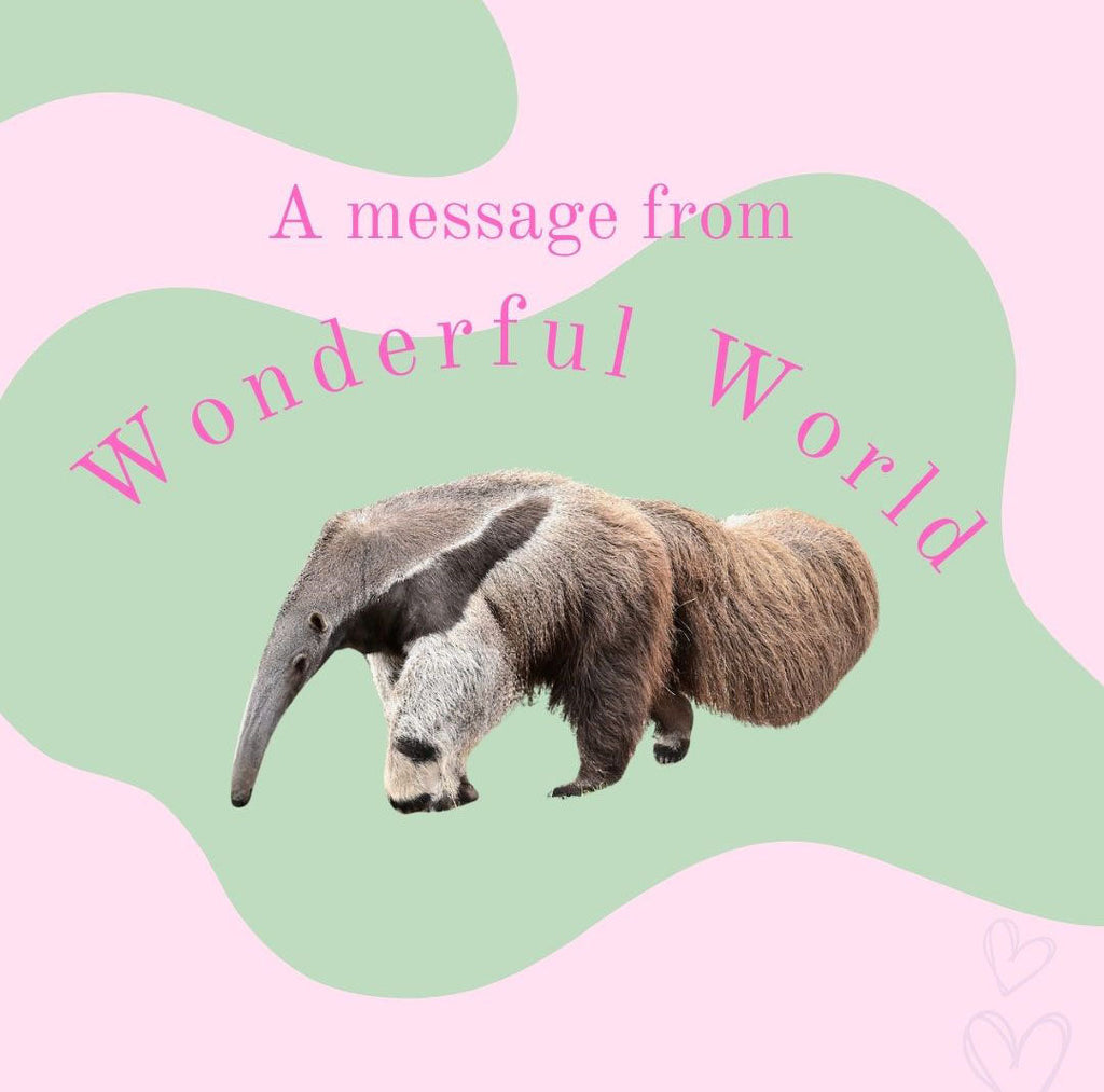 Heartfelt Thanks from Wonderful World  🐘