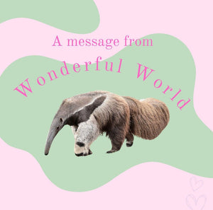 Heartfelt Thanks from Wonderful World  🐘