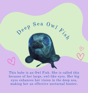 How wonderful is the Deep Sea Owl Fish!