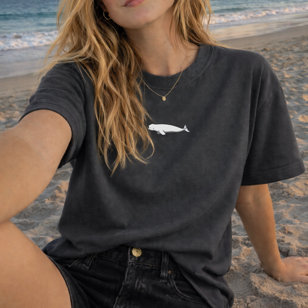 Beluga Whale Tshirt, Embroidered Beluga Whale Tshirt