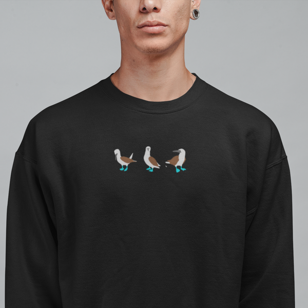Blue Footed Booby Jumper, Blue Footed Boobies