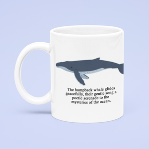 Humpback Whale Mug, Humpback whale illustration