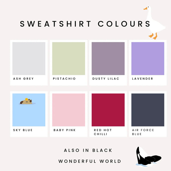 Sky is Better with Swifts Embroidered Sweatshirt