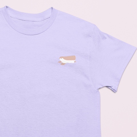 Pink Fairy Armadillo Tshirt